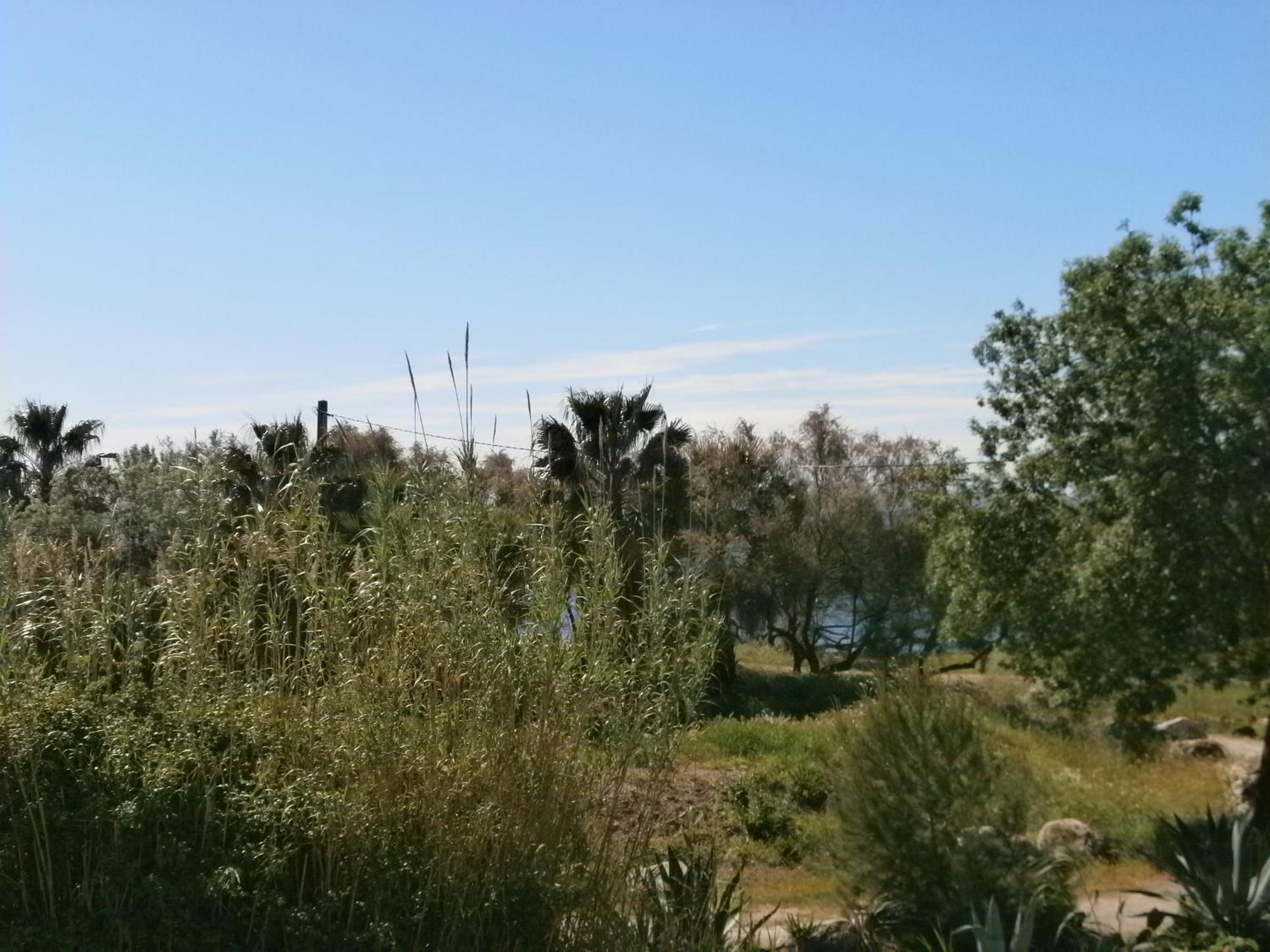 Hotel De La Mer Hyères Oda fotoğraf